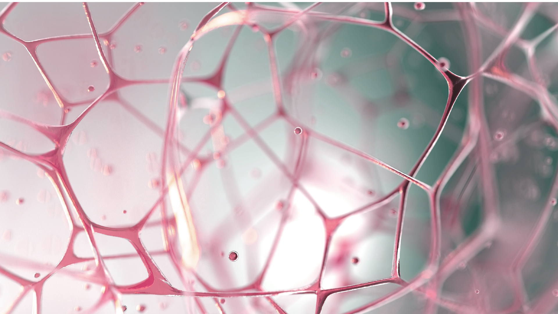 Connective Tissue