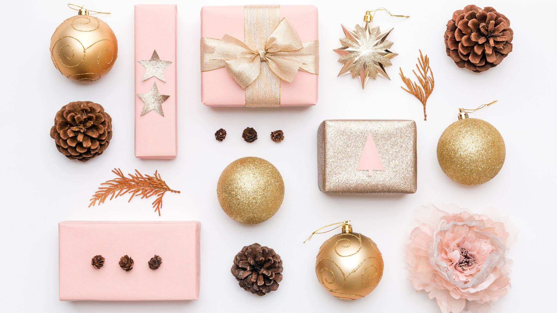 2022 Holiday Gift Guide